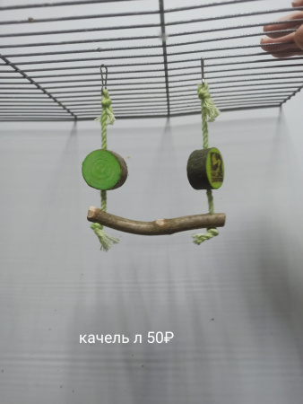 Изображение WhatsApp 2023-12-12 в 16.30.51_3c383634
