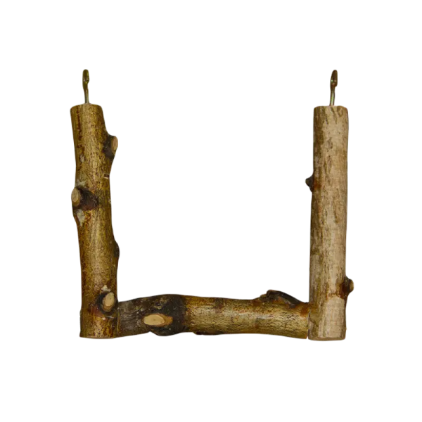 pixlr-bg-result (17)