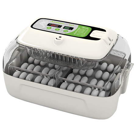 69d201aa-daaa-11df-9584-0016177830bf_0b784b26-ebc8-11e8-8df9-001e67a4f6ad