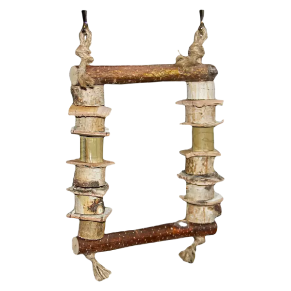 pixlr-bg-result (18)