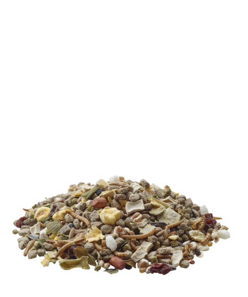 мини хамстер1